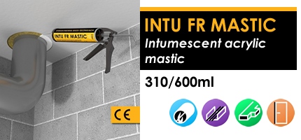 6_INTU_FR_MASTIC_v3